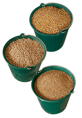 producteur-volailles-ferme-du-val-de-noye-alimentaion-grains