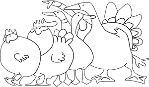 producteur-volailles-ferme-du-val-de-noye-illustration